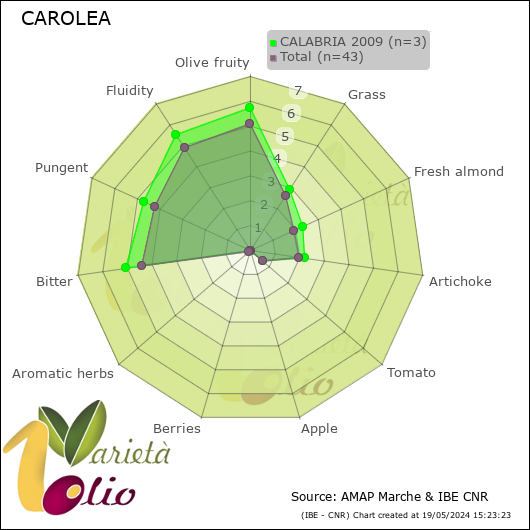 Profilo sensoriale medio della cultivar  CALABRIA 2009